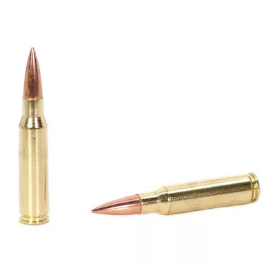 Armscor Precision 308 Winchester | Ammo | 147 Gr | Box Of 20 | 308 Win | 50170