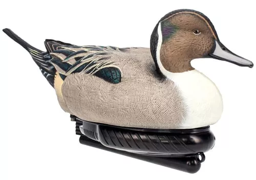 AVIAN AVX-PSW-PNSWPOWER SWIMMER PINTAIL DRAKE