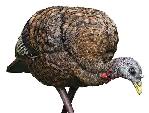 Avian X AVXAVX8007 LCD Feeder Hen Turkey Species Multi Color Dura-Rubber