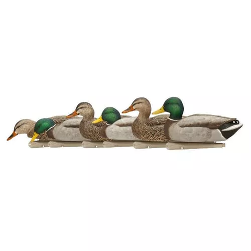 Avian X AVXAVX8076 Topflight Fusion Mallards Multi-Color -6 Pack