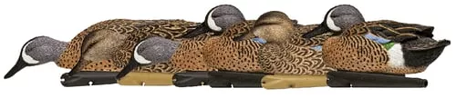 Avian X AVXAVX8080 TopflightBlue-Winged Floating Teal Decoys Multi-Colored-6 Pack