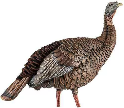 Avian X HDR Hen Decoy
