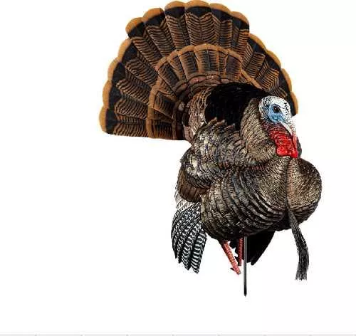 Avian X HDR Strutter Turkey Decoy