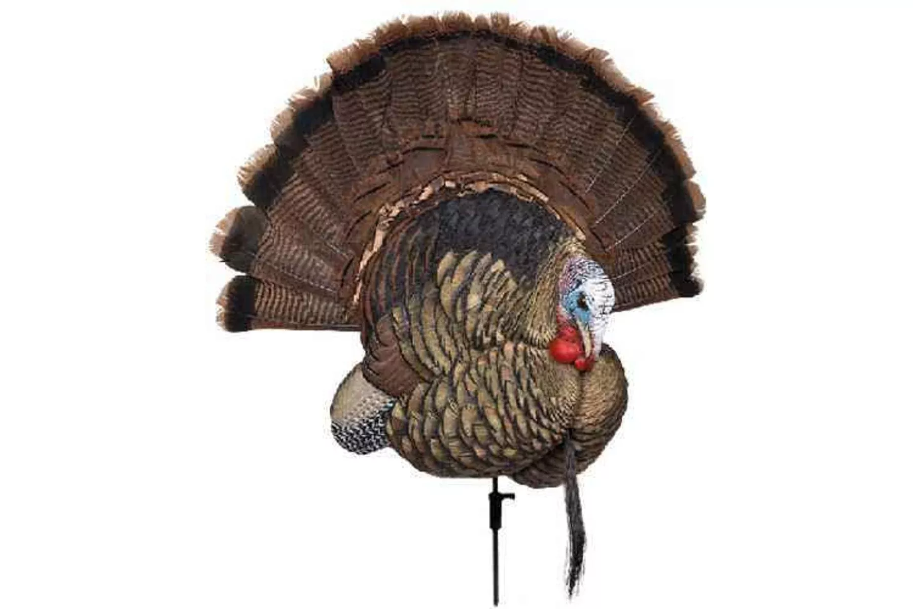 Avian X Trophy Tom Turkey Decoy
