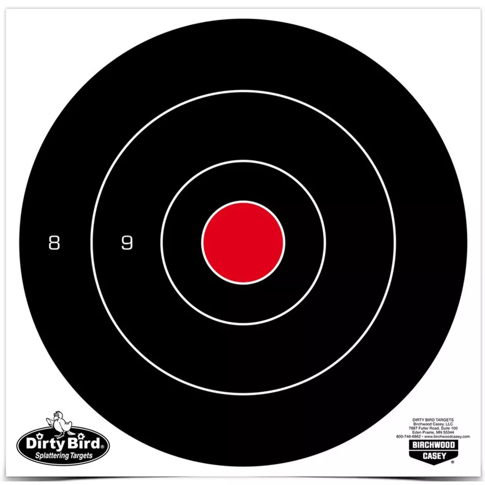 B/C Dirty Bird Round Bullseye Target 25-8"