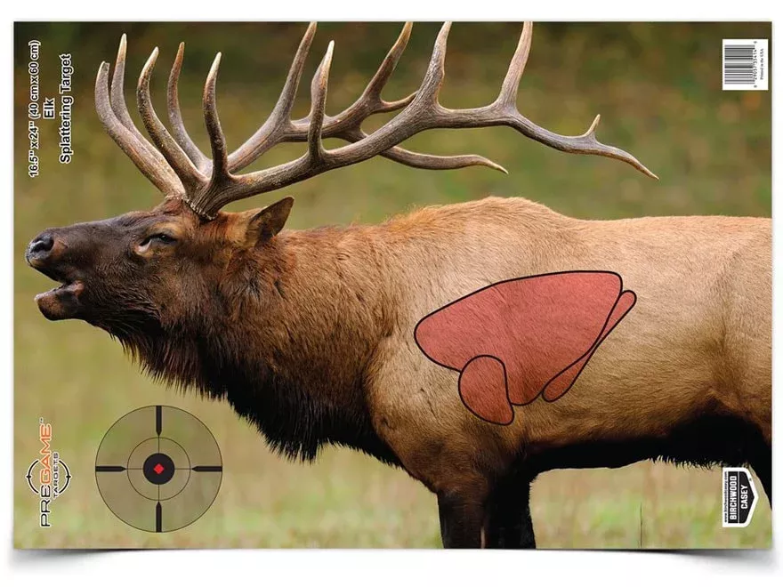 Birchwood Casey PREGAME Elk Reactive Target