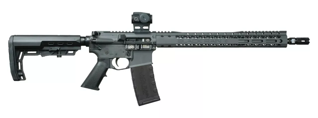 Black Rain Ordnance BRO26040601OPT Sports South Exclusive 5.56 NATO 16″ Viridian Venta Red Dot
