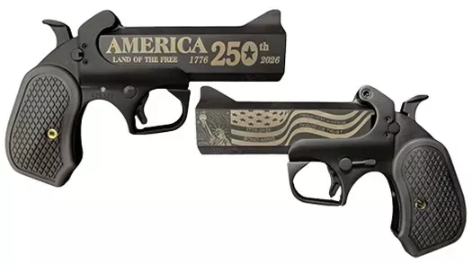 Bond Arms 250TH America BLK 45/410 4.25″