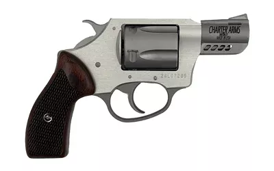 CHARTER ARMS CYTE 380ACP 2″ 5RD STS