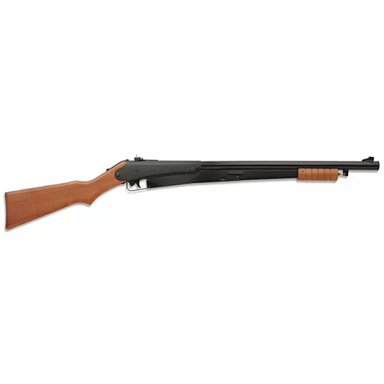 DAISY 25 PUMP BB GUN