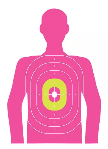 EZ-Aim 15646 In the PinkPaper Works w/Handgun/Shotgun/Airsoft Gun/BB Guns/Pellet Gun 12 x 18 Pink 8 Pack
