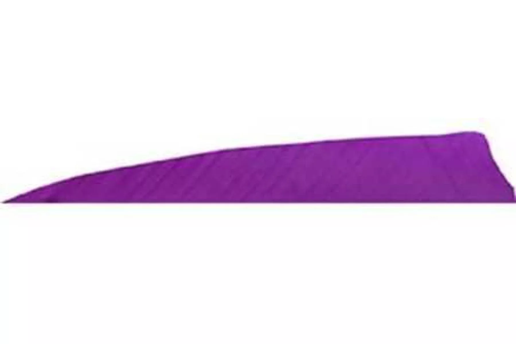 Gateway Shield Cut Feathers Purple 4 in. LW 50 pk.