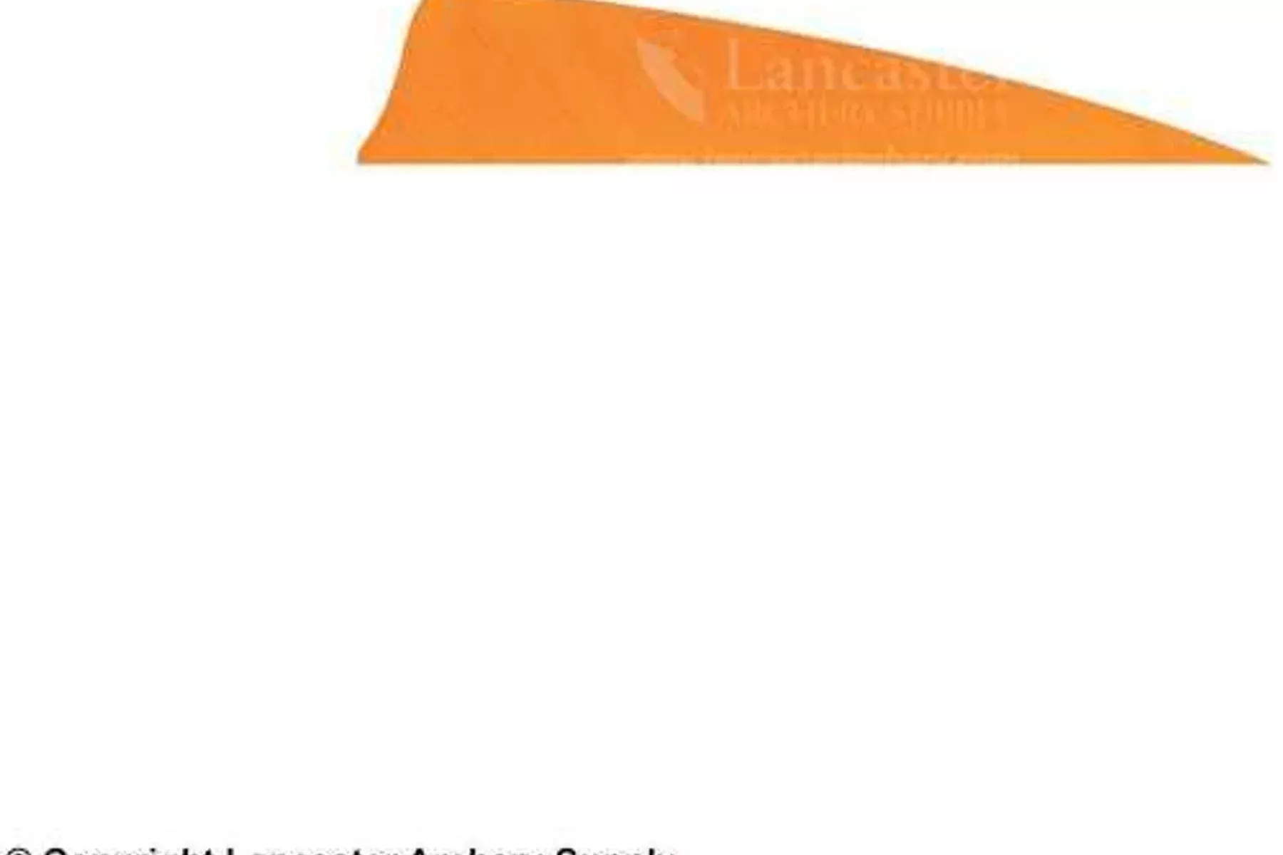 Gateway Shield Cut Feathers Tre White/Orange 4 in. LW 50 pk.