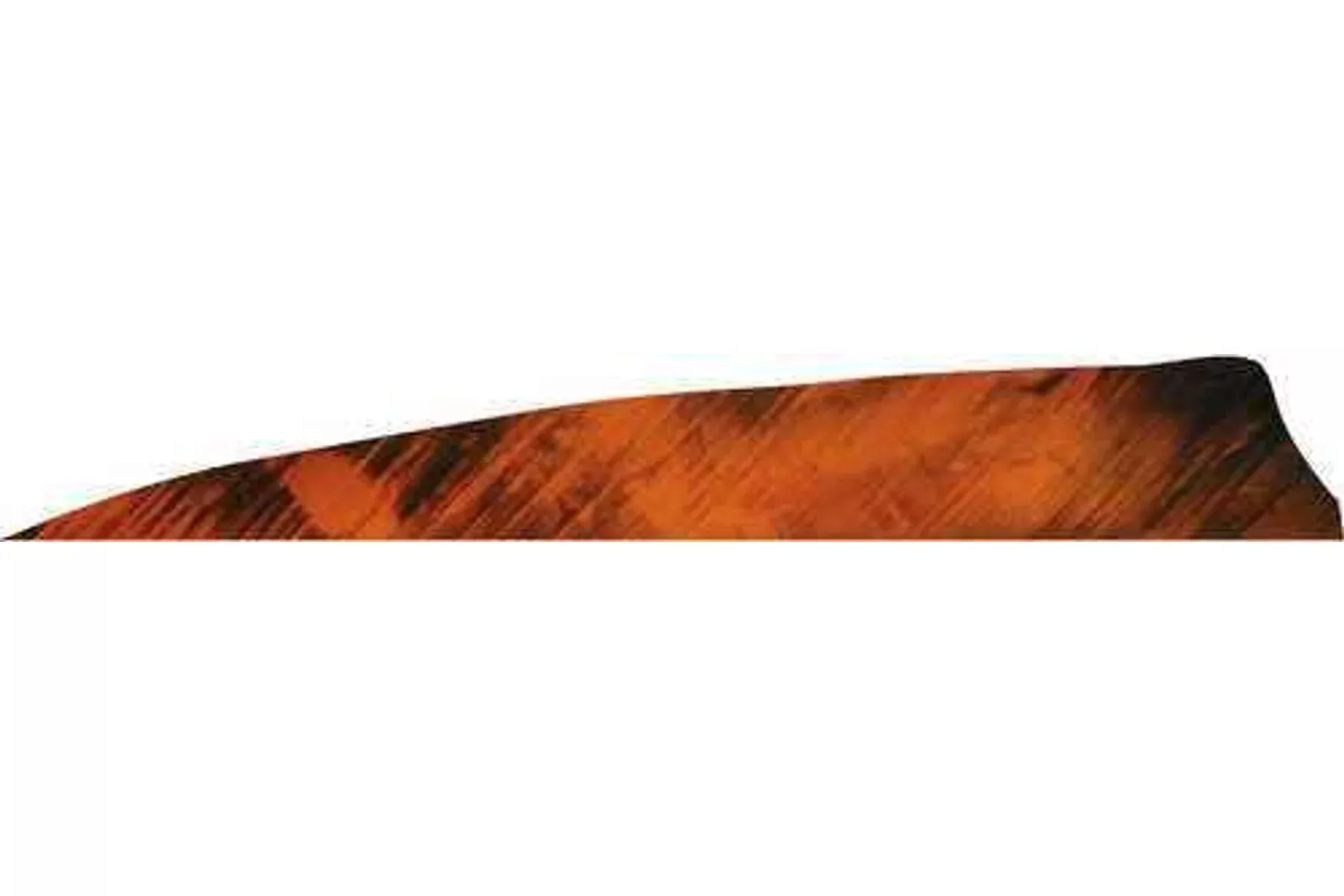 Gateway Shield Cut Feathers Tre White/Orange 4 in. RW 50 pk.