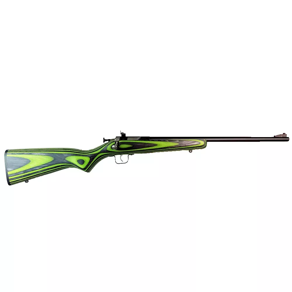 Keystone Sporting Arms Crickett 22LR Bl/BLK-grn Lam