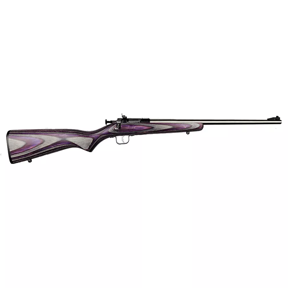 Keystone Sporting Arms Crickett 22LR SS/purple Lam