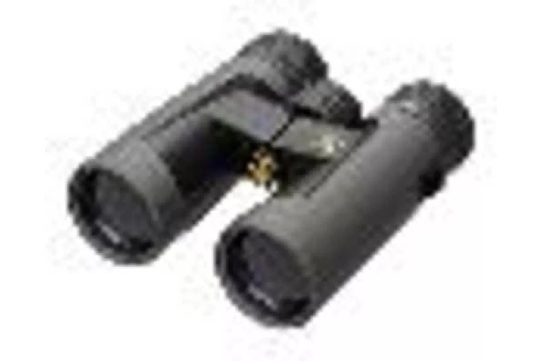 LEU Bx-2 Alpine 10X42MM Roof Shadow Gray