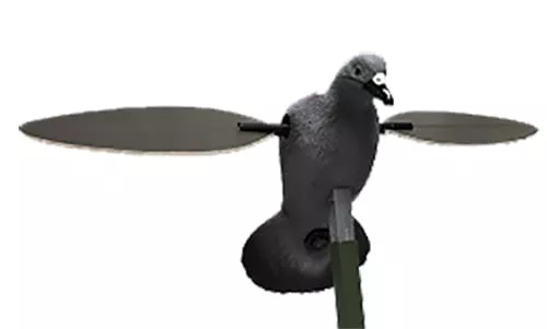 Mojo Outdoors HW2410 PigeonSpecies Multi Color Plastic