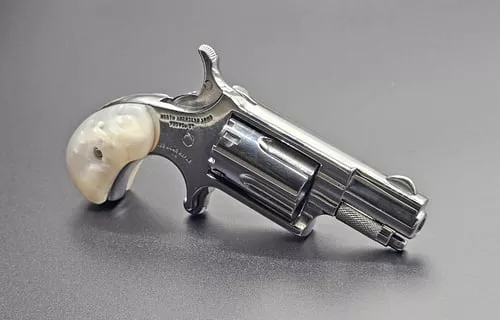 NAM MINI-REV 22LR 1.125SS GOOD