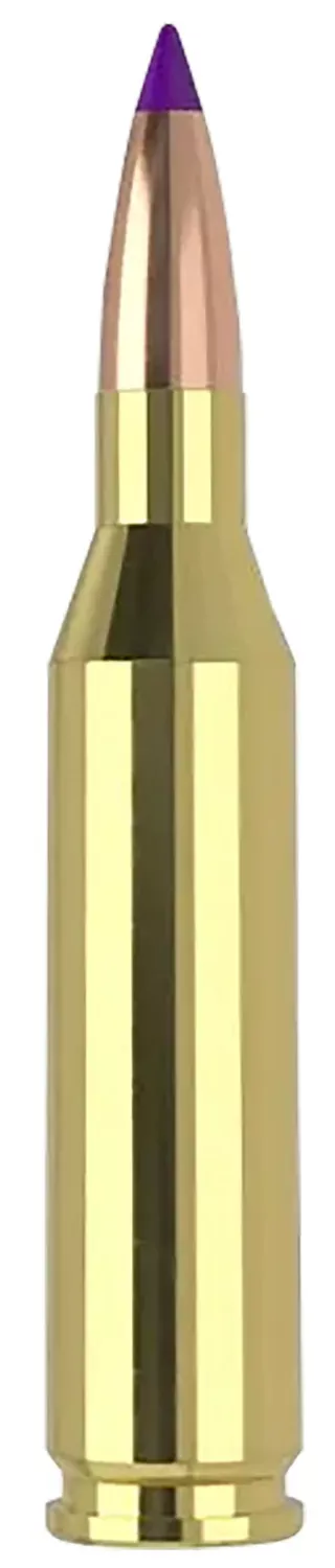 Nosler .243 Winchester 70 gr, 20-Round Box