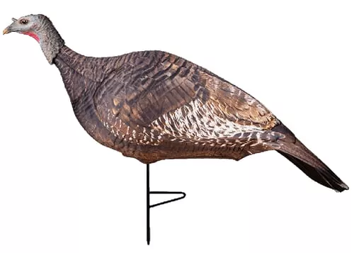 Primos 69068 Photoform Hen Turkey, Lightweight/Flexible/CollapsibleBrown Foam, Multiple Positions