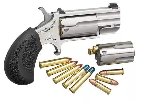 PUG 22MAG/22LR 1" SS CONV | NAA-PUG-DC|WHITE DOT SIGHTS
