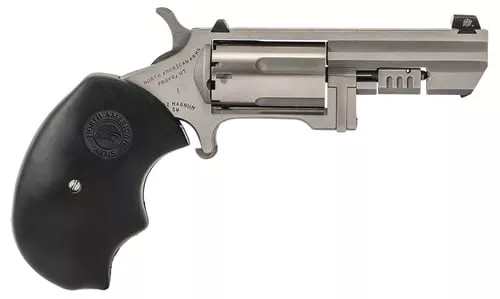 RECLUSE 22MAG 2" SS XS | NAA-RECLUSE