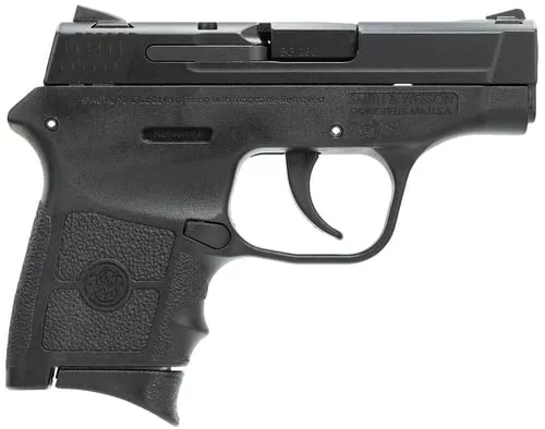 S&W BDYGRD 380ACP 6RD 2.75 NO LSR