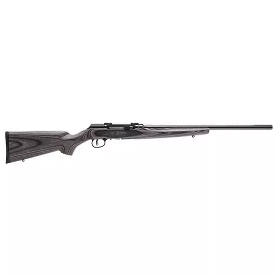 Sav A17 Sporter 17HMR 22 Gray Laminate 10RD