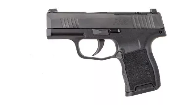 Sig Sauer P365 380ACP BLK 10+1 Ns