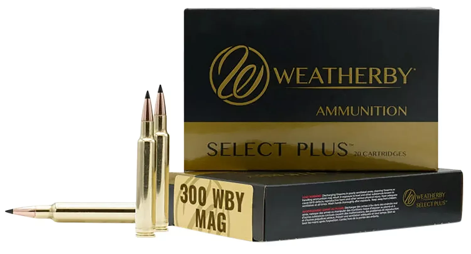 Weatherby 200 GR, 20-Round Box
