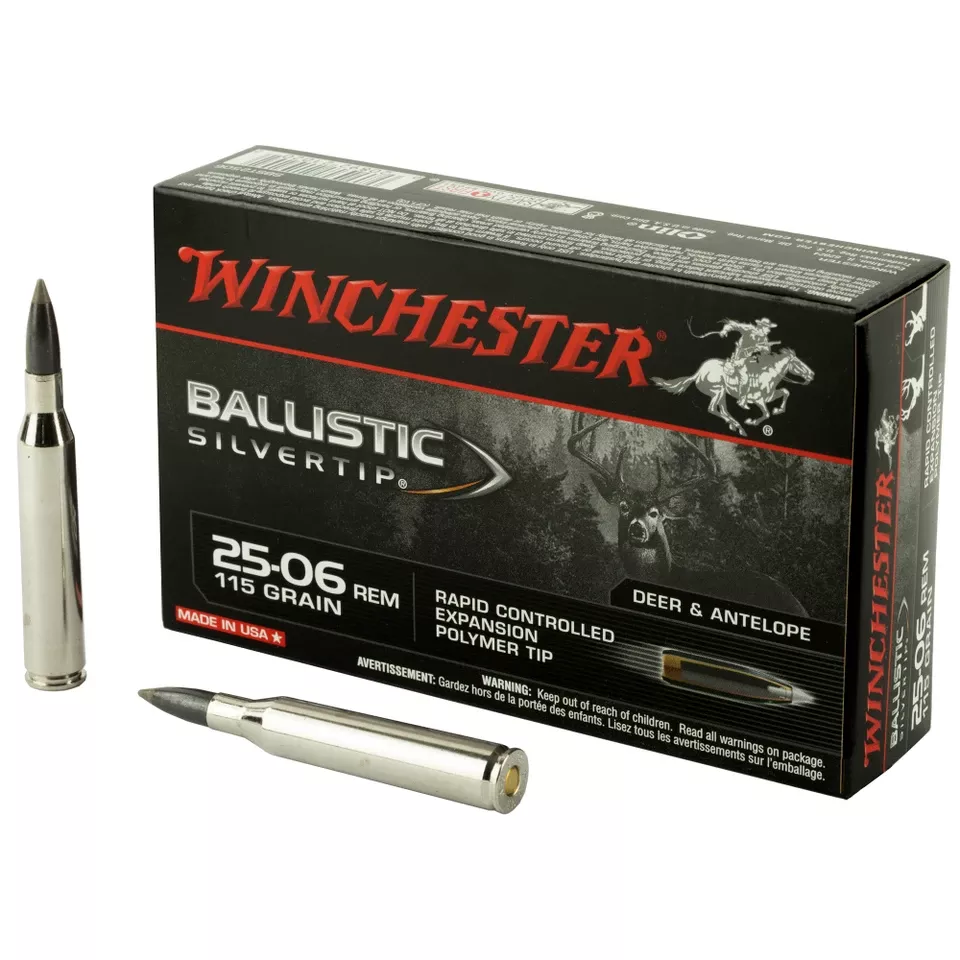 Winchester Ballistic Silvertip .2506 Remington 115 Grain 20/200 Rounds